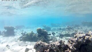 Акаба, Tala Bay — дикий пляж! Часть 1, точки для вечерней ловли