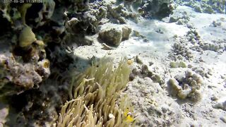 Акаба, Tala Bay — дикий пляж! Часть 1, точки для вечерней ловли