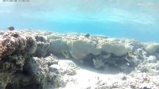 Акаба, Tala Bay — дикий пляж! Часть 1, точки для вечерней ловли