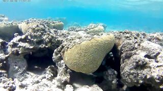 Акаба, Tala Bay — дикий пляж! Часть 1, точки для вечерней ловли