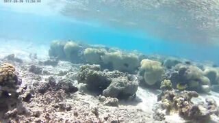 Акаба, Tala Bay — дикий пляж! Часть 1, точки для вечерней ловли