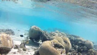 Акаба, Tala Bay — дикий пляж! Часть 1, точки для вечерней ловли