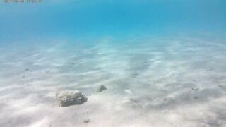 Акаба, Tala Bay — дикий пляж! Часть 1, точки для вечерней ловли