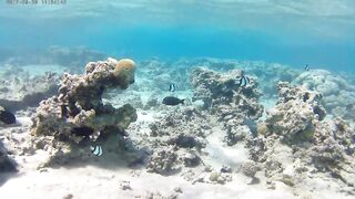 Акаба, Tala Bay — дикий пляж! Часть 1, точки для вечерней ловли