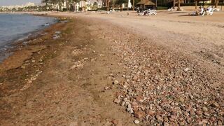 Tala Bay, Aqaba — новый пляж, снорклинг и морская рыбалка в Иордании