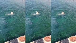 Aqaba, Marina Plaza Tala Bay — февраль: штиль и видимость