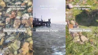 I love Tala Bay — морская рыбалка в Акабе, где встать на заброс?