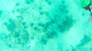 Занзибар — зимняя удочка на океане: это вообще работает?