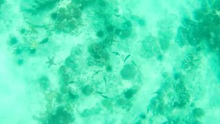 Занзибар — зимняя удочка на океане: это вообще работает?