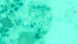 Занзибар — зимняя удочка на океане: это вообще работает?