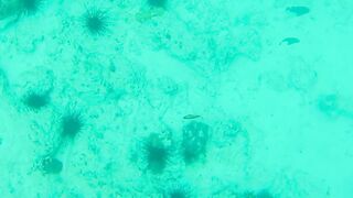 Занзибар — зимняя удочка на океане: это вообще работает?