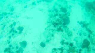 Занзибар — зимняя удочка на океане: это вообще работает?