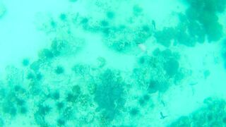 Занзибар — зимняя удочка на океане: это вообще работает?