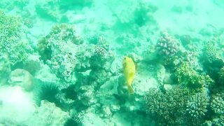 Занзибар — зимняя удочка на океане: это вообще работает?