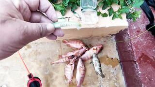 Занзибар — зимняя удочка на океане: это вообще работает?