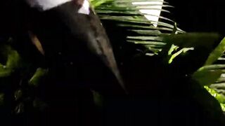 Занзибар — зимняя удочка на океане: это вообще работает?