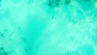 Занзибар — зимняя удочка на океане: это вообще работает?