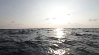 Занзибар — морская рыбалка на парусника: трофей или случайность?