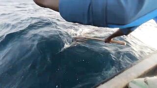 Занзибар — морская рыбалка на парусника: трофей или случайность?