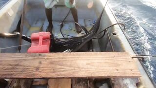 Занзибар — морская рыбалка на парусника: трофей или случайность?