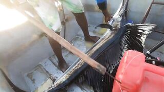 Занзибар — морская рыбалка на парусника: трофей или случайность?