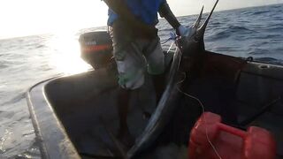 Занзибар — морская рыбалка на парусника: трофей или случайность?