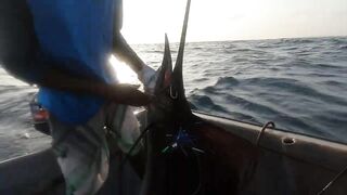 Занзибар — морская рыбалка на парусника: трофей или случайность?