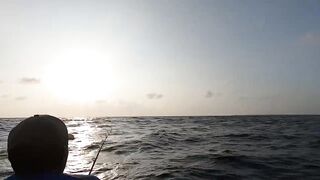 Занзибар — морская рыбалка на парусника: трофей или случайность?