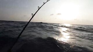 Занзибар — морская рыбалка на парусника: трофей или случайность?