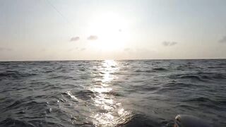 Занзибар — морская рыбалка на парусника: трофей или случайность?