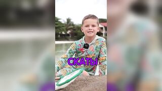 Сейшелы — ловим скатов, это законно и безопасно ли для рыболова?