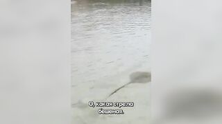 Сейшелы — ловим скатов, это законно и безопасно ли для рыболова?