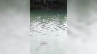 Сейшелы — ловим скатов, это законно и безопасно ли для рыболова?