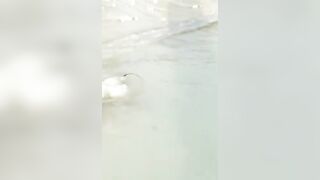 Сейшелы — ловим скатов, это законно и безопасно ли для рыболова?