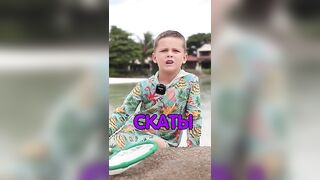 Сейшелы — ловим скатов, это законно и безопасно ли для рыболова?