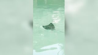 Сейшелы — ловим скатов, это законно и безопасно ли для рыболова?