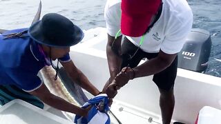 Seychelles Big Game Fishing — марлин и тунец, как выбрать каперано?