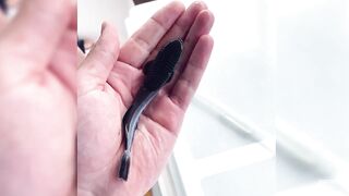 Seychelles Big Game Fishing — марлин и тунец, как выбрать каперано?