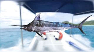 Seychelles Big Game Fishing — марлин и тунец, как выбрать каперано?