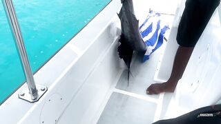 Seychelles Big Game Fishing — марлин и тунец, как выбрать каперано?