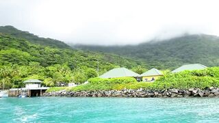 Seychelles Big Game Fishing — марлин и тунец, как выбрать каперано?