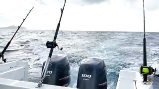 Seychelles Big Game Fishing — марлин и тунец, как выбрать каперано?