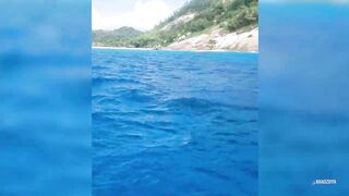 Seychelles Big Game Fishing — марлин и тунец, как выбрать каперано?