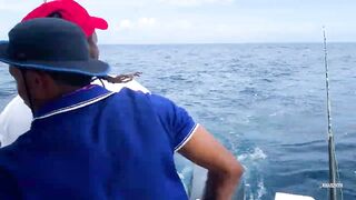 Seychelles Big Game Fishing — марлин и тунец, как выбрать каперано?