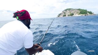 Seychelles Big Game Fishing — марлин и тунец, как выбрать каперано?
