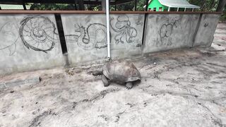 Сейшелы — лучшая морская рыбалка с семьей: яхтинг и споты у атоллов