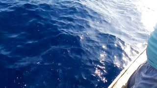 Сейшелы: морская рыбалка на лодке с местными, фильм №2