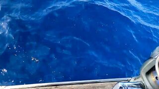 Сейшелы: морская рыбалка на лодке с местными, фильм №2