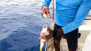 Сейшелы: морская рыбалка на лодке с местными, фильм №2