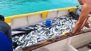 Сейшелы: морская рыбалка на лодке с местными, фильм №2